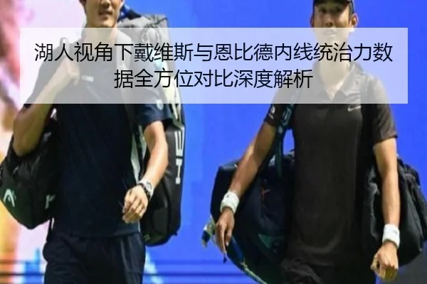 湖人视角下戴维斯与恩比德内线统治力数据全方位对比深度解析
