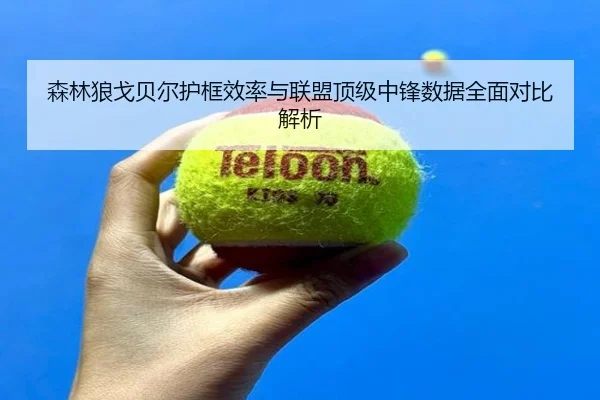 森林狼戈贝尔护框效率与联盟顶级中锋数据全面对比解析